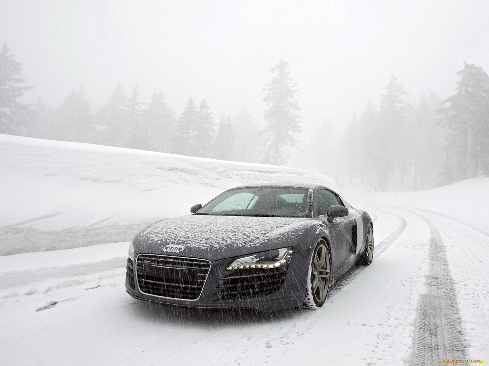 , audi